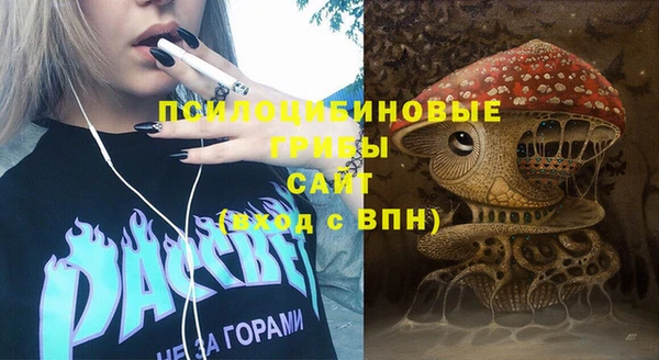 гидропоника Богородицк