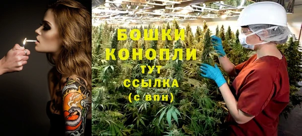 гидропоника Богородицк