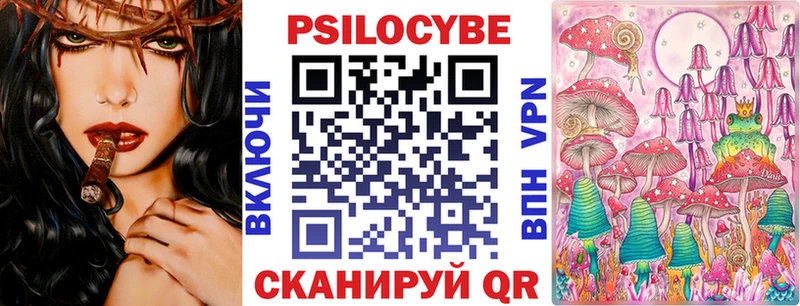 купить   Светлый  Галлюциногенные грибы Cubensis 